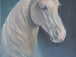 Tête-de-cheval-blanc
